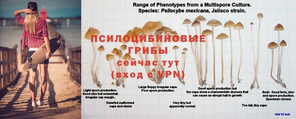 марихуана Бородино